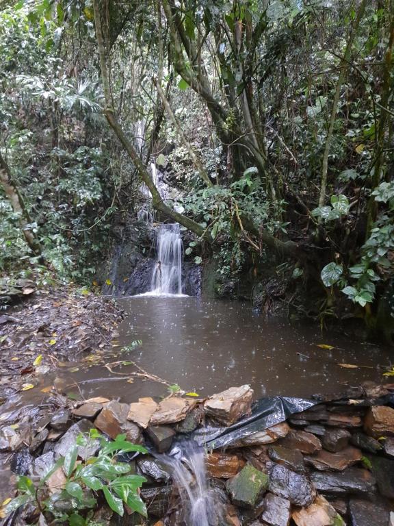 a small waterfall in the middle of a forest at Colibamboo Ecolodge Biocasa artesanal rodeada de naturaleza con jaccuzi y mucho más in Pacho
