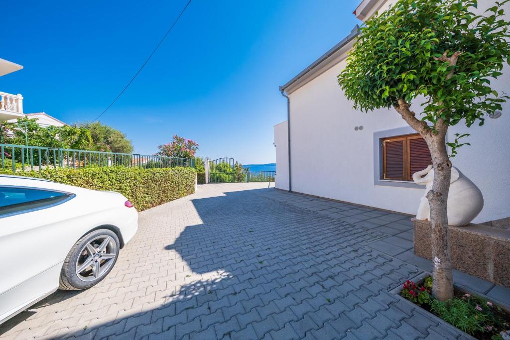 Příroda nedaleko apartmánu
