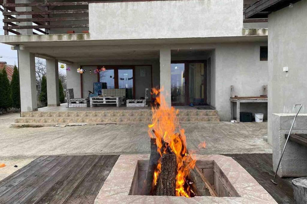 Vila in the country ( 30min from Craiova)