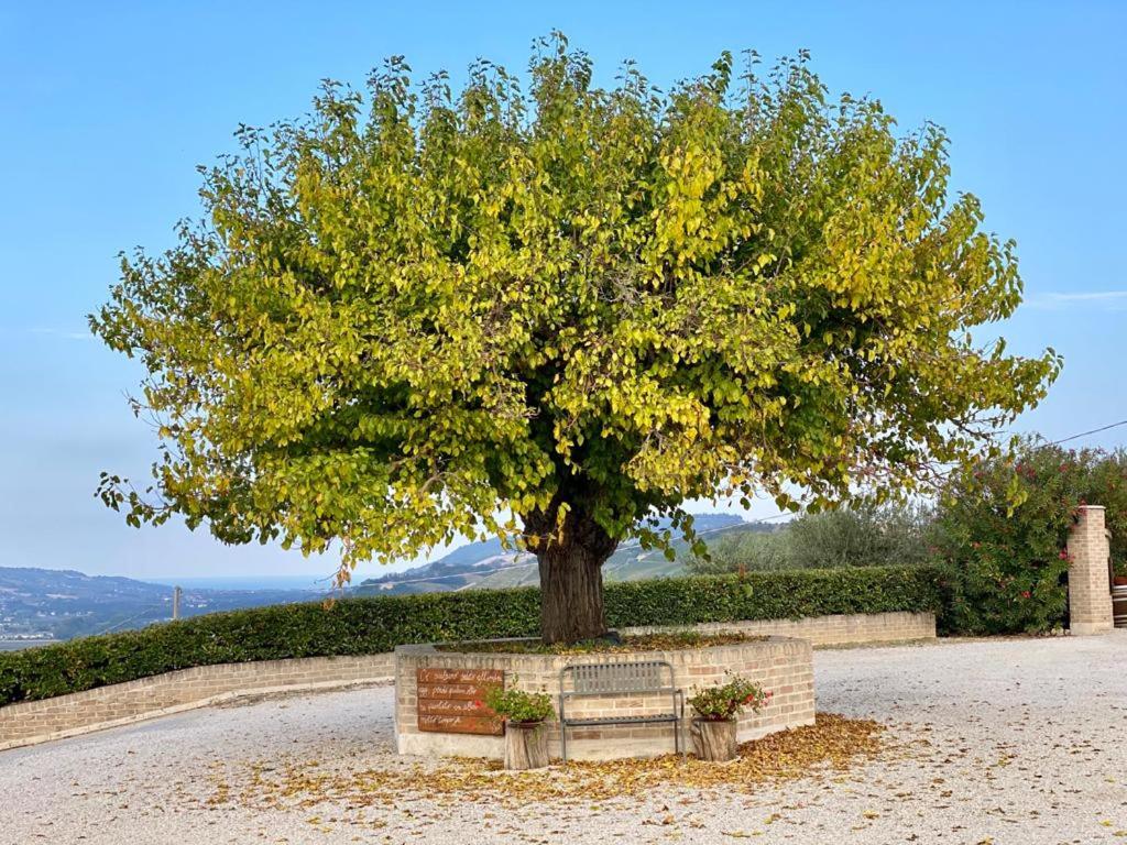 Cantina Le Canà