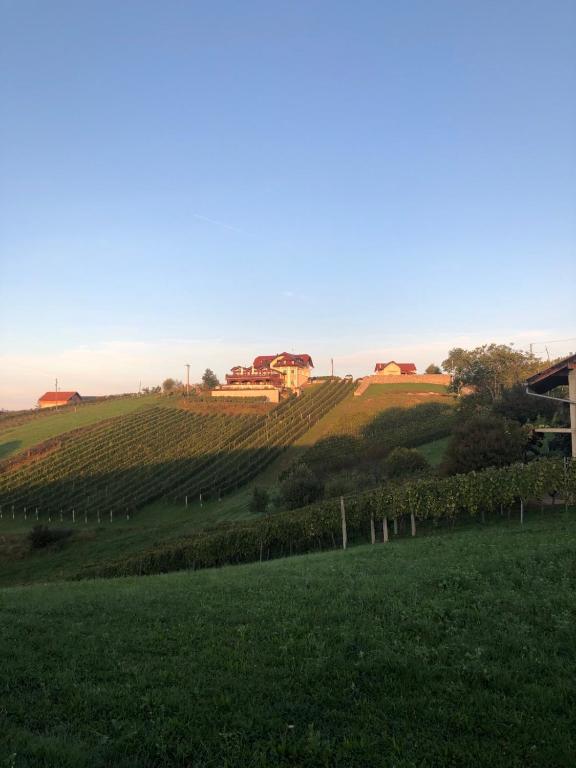 Příroda nedaleko bed and breakfast