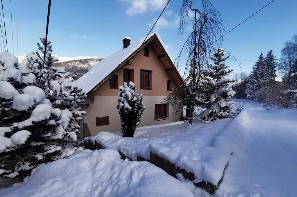 a house is covered in snow with trees and bushes at Chata Podolina in Terchová