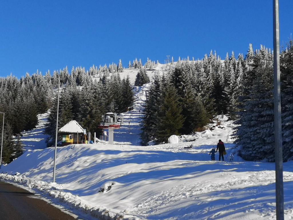 una persona sta sciando giù da una montagna innevata di Apartman Kalina Suncani Breg a Kopaonik