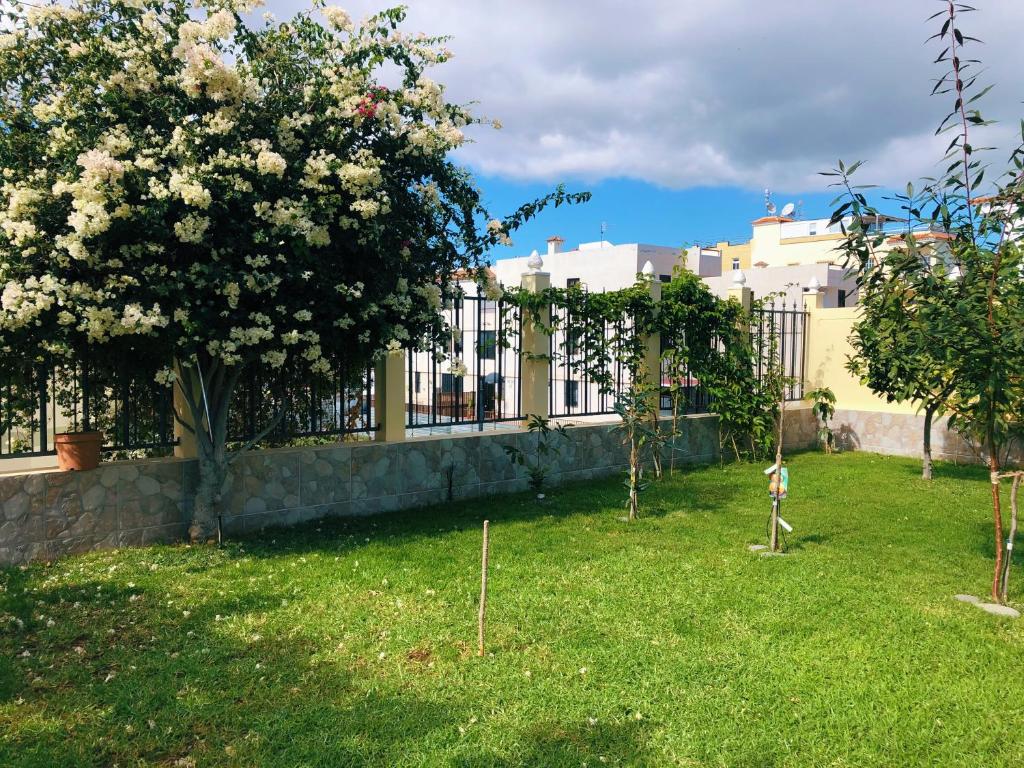 Zahrada ubytování Villa 8 Islas