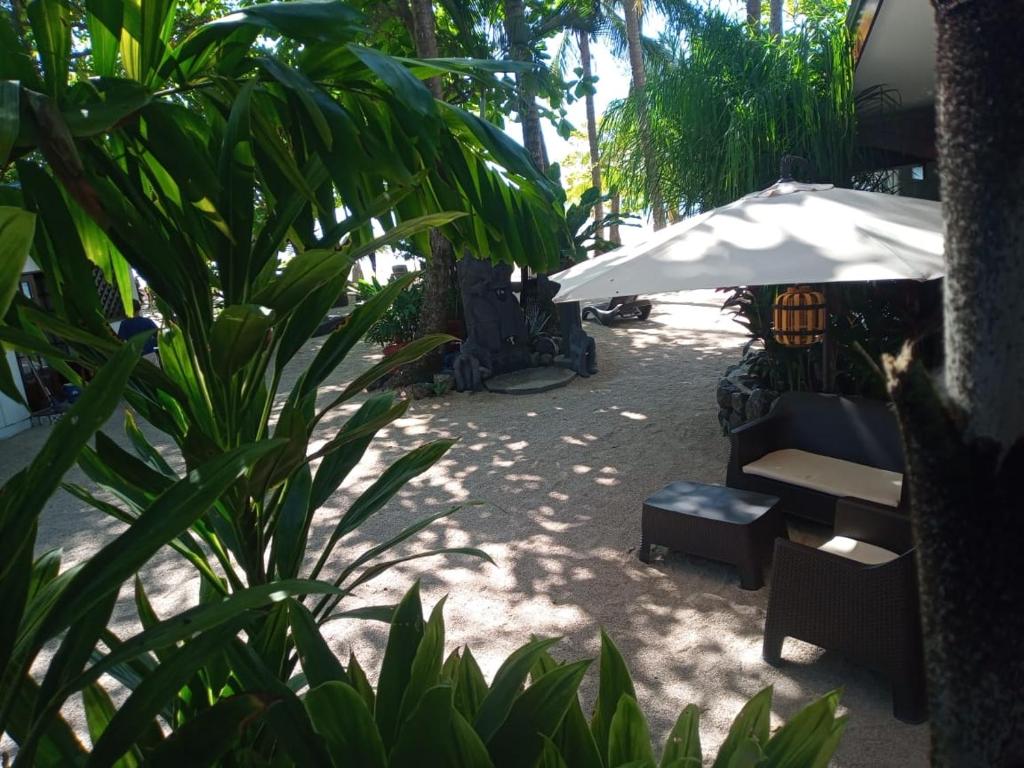 Zahrada ubytování Macao Beach