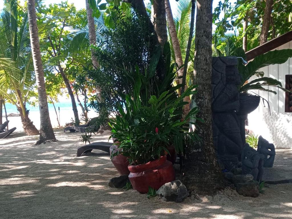 Zahrada ubytování Macao Beach