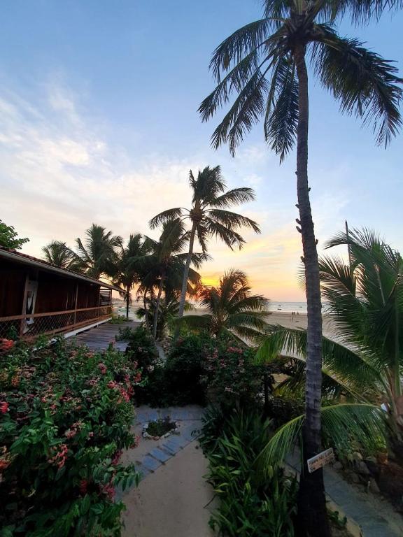 a view of a beach with palm trees and the ocean at Cabôco Sonhadô Passeios Náuticos e Pousada in Mundaú