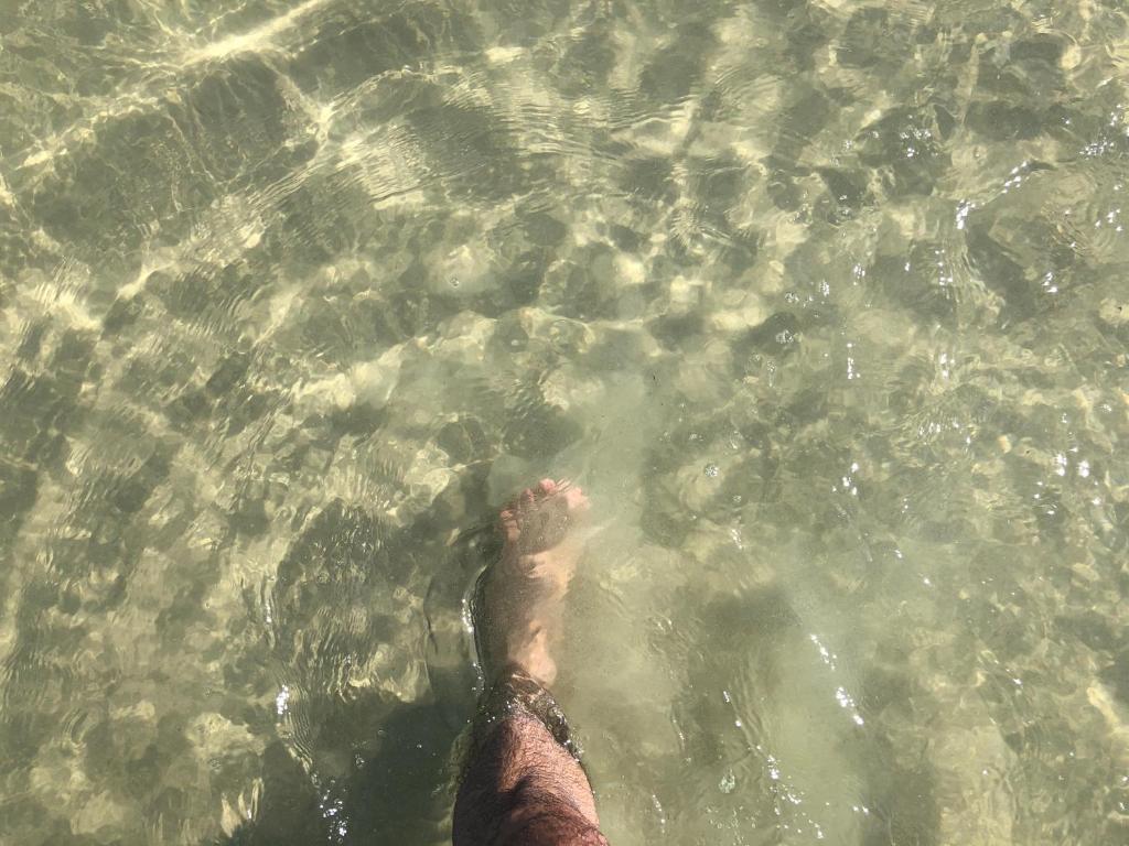  Apart. frente para o MAR -pé na areia/Pitangueiras