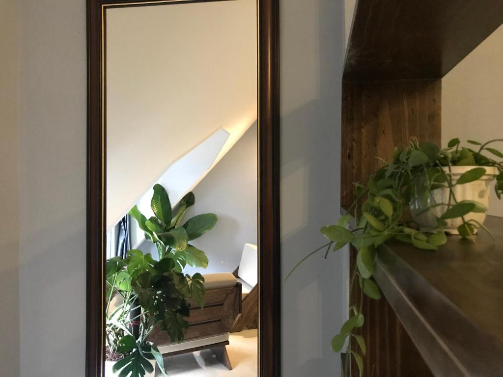 Bố cục CozyNook Boutique Apartments - 3 thang 2 Street