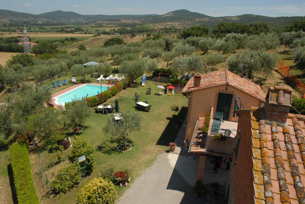 La Piaggiola degli Olivi