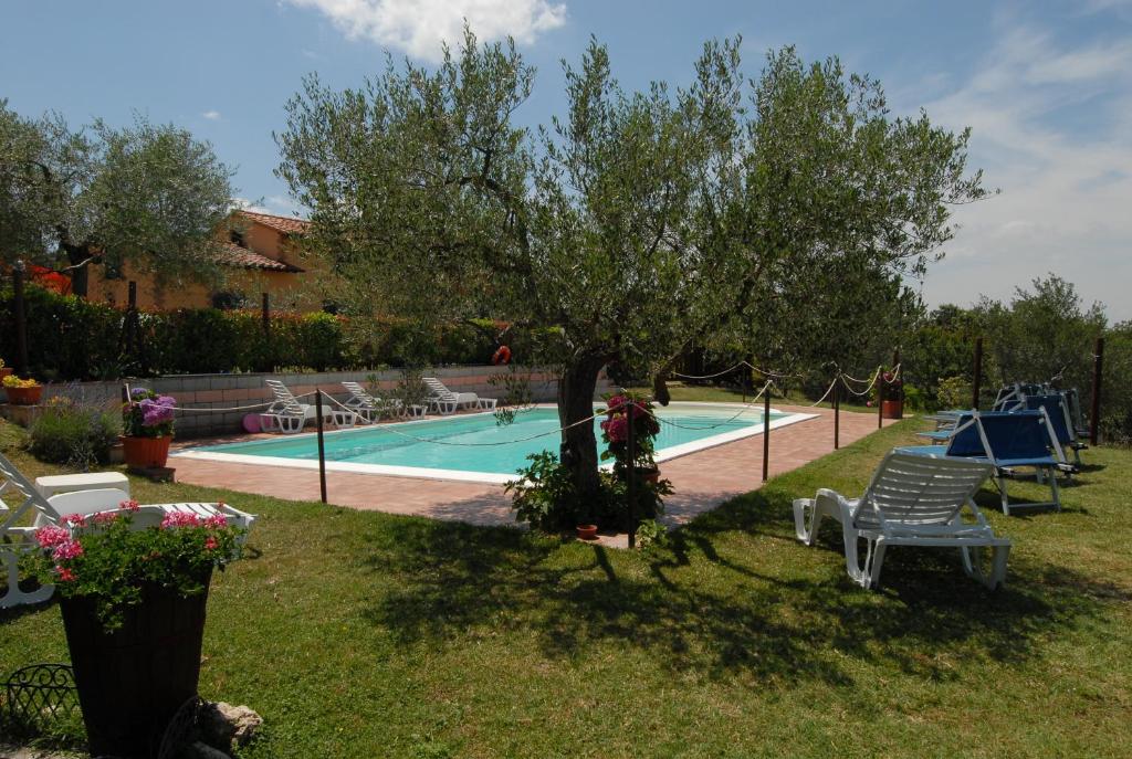 Bazén v ubytování La Piaggiola degli Olivi nebo v jeho okolí