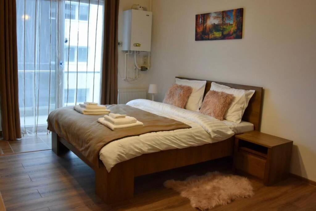 Pricop Residence - One-Bedroom Apartment