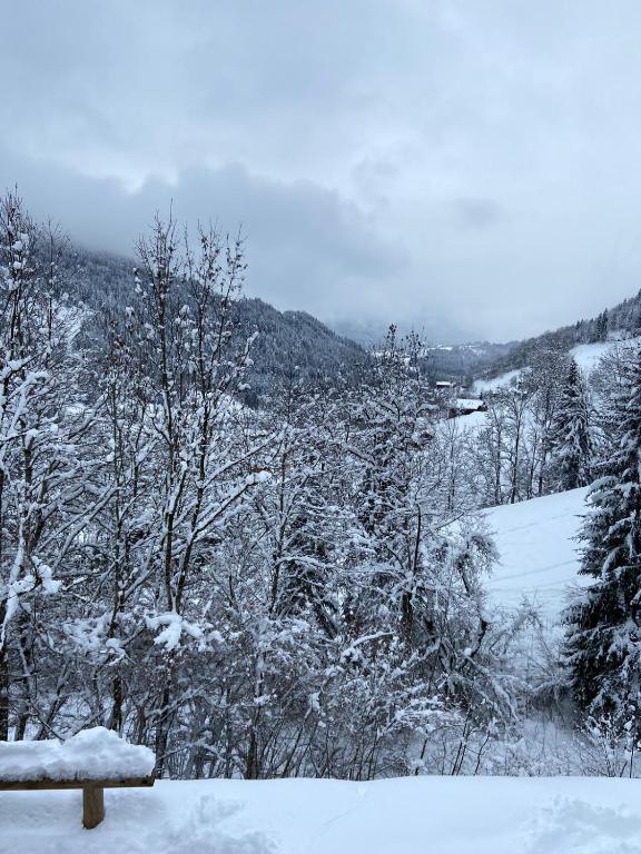 Chalet Soleya v zimě