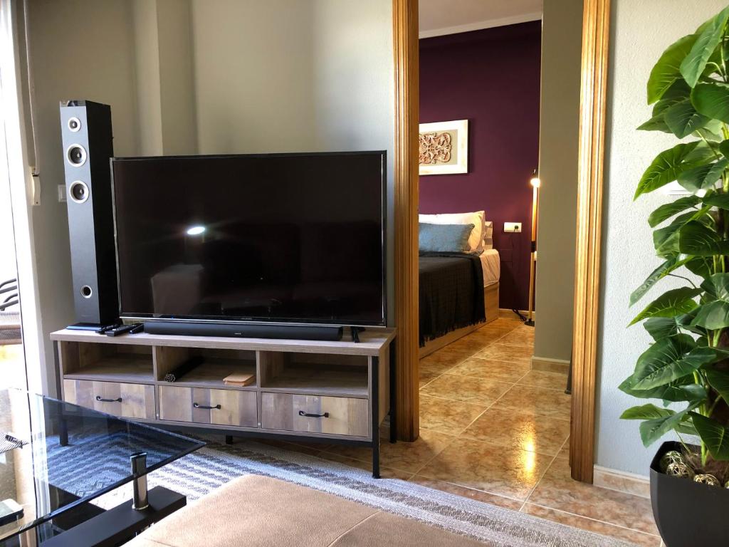 TV a/nebo společenská místnost v ubytování Torrevieja - Caballero de Rodas 173