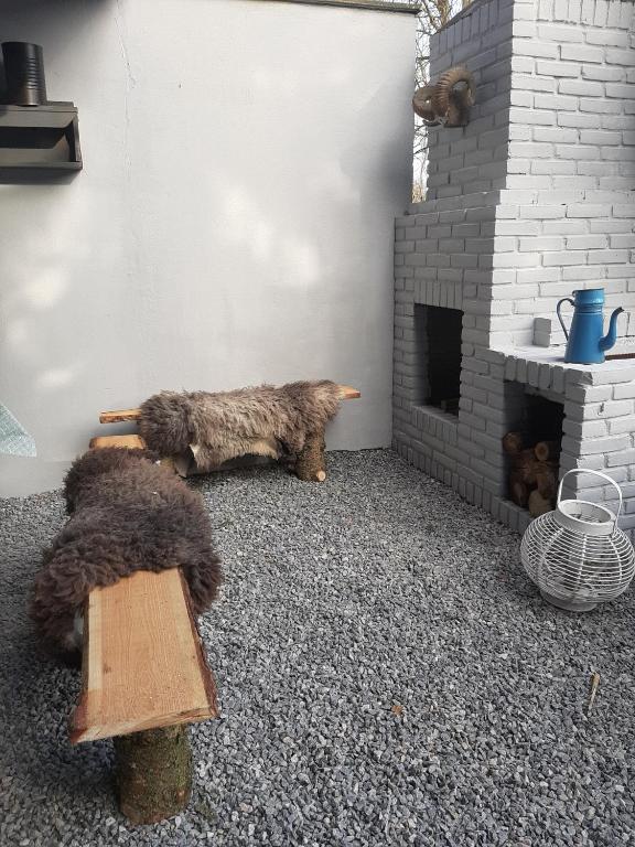 Domácí mazlíčci ubytovaní s hosty v ubytování Stilbjerg Sleep&Hygge