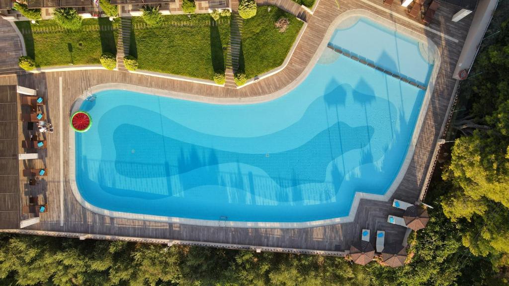 Royal Sun - Resim 33