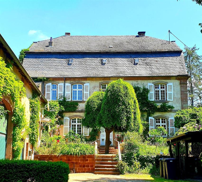 une grande maison avec un arbre en face dans l'établissement Schloss Hilbringen, à Merzig