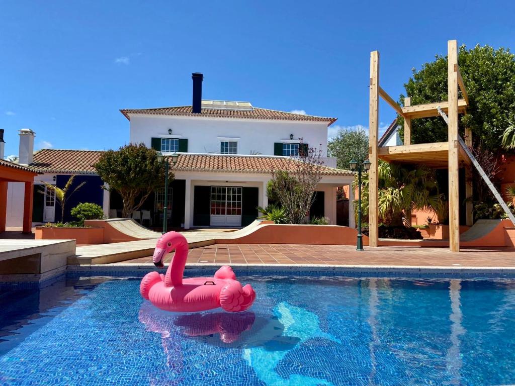 2 flamants roses dans une piscine en face d'une maison dans l'établissement Salt Lips Surf & Coworking Azores, à Ponta Delgada