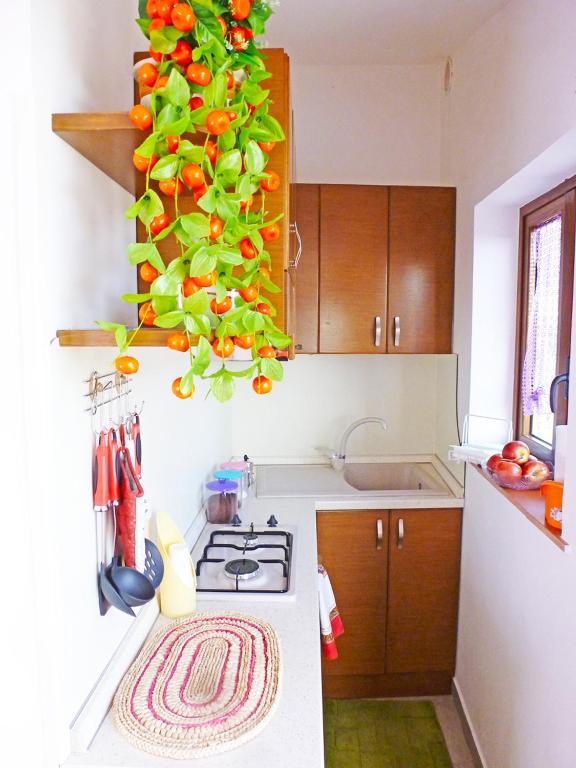 Holidays Costanza - 1