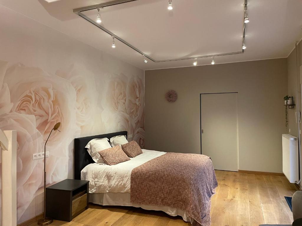 Postel nebo postele na pokoji v ubytování B&B Het Doctershoes