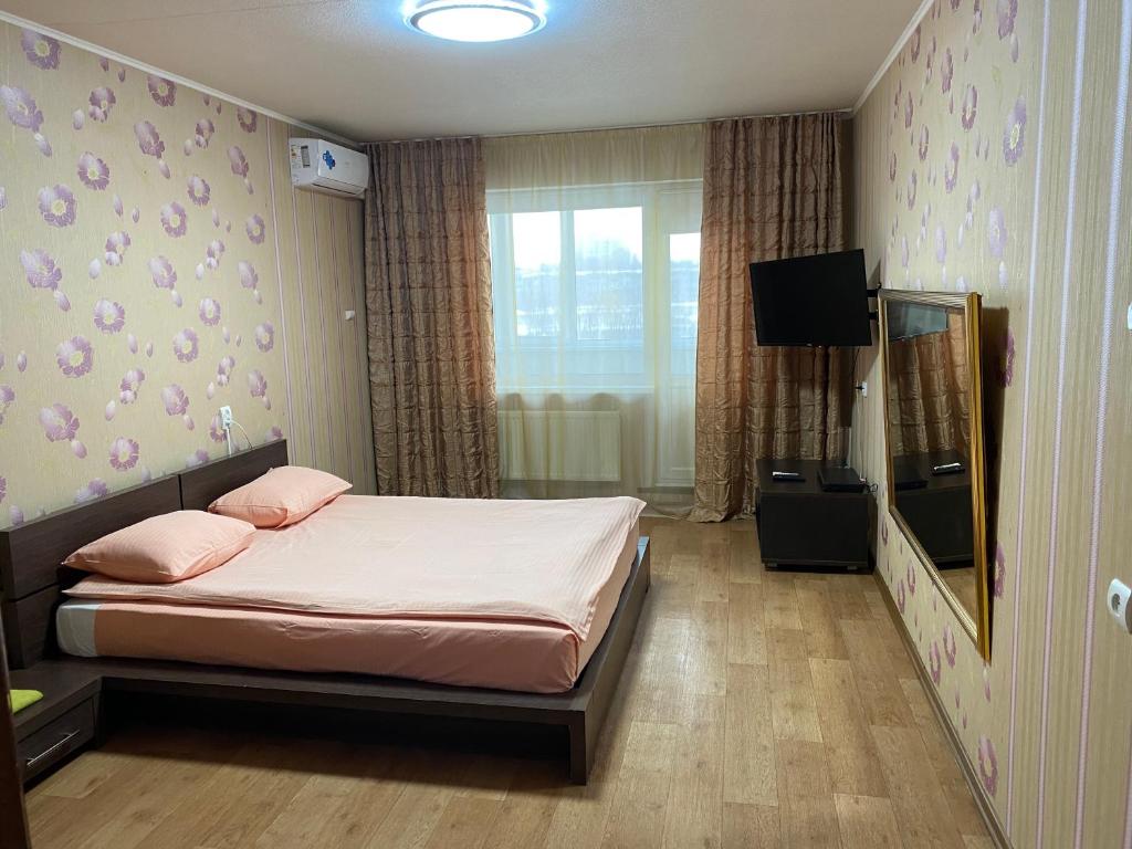 烏里揚諾夫斯克的住宿－Apartment na Transportnoy Ulitse，一间卧室配有一张床和一台电视