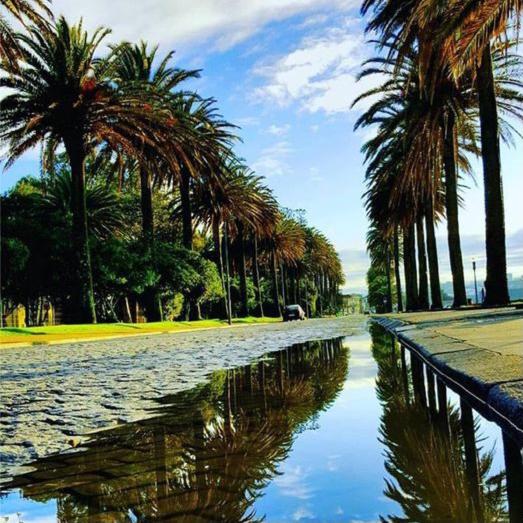 Hotel Portofoz - Resim 45