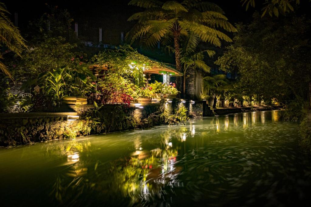 - un étang dans un jardin la nuit éclairé dans l'établissement Quinta da Mo, à Furnas