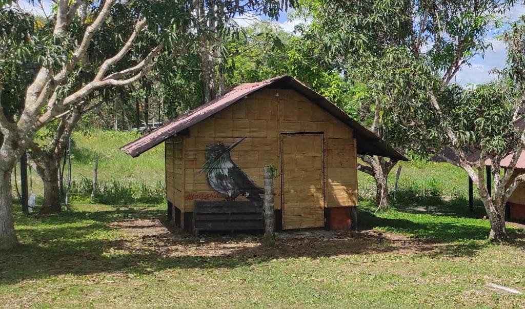 a bird sitting on the door of a smallshed at Ecopradera in San José del Guaviare