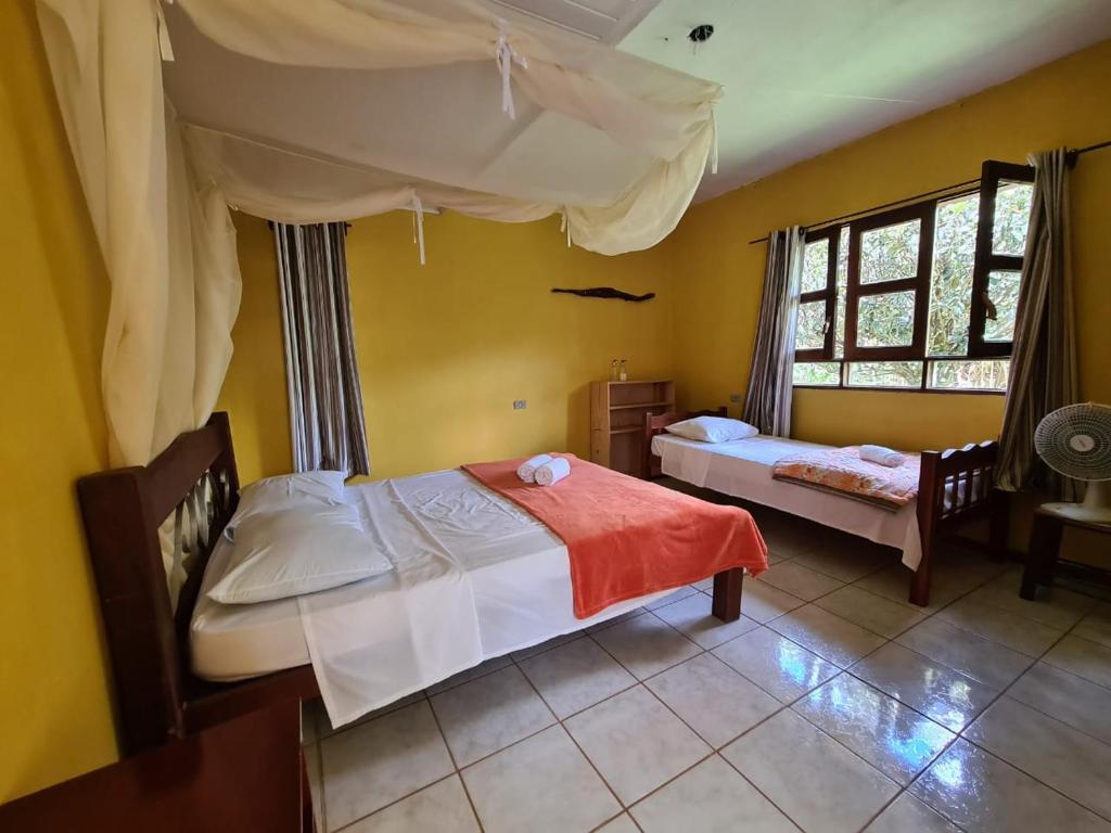  Casa da Trilha