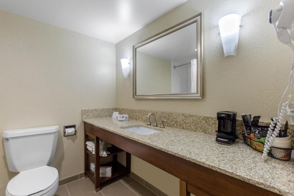 Comfort Inn Conference Center - Sala King - Não Fumante