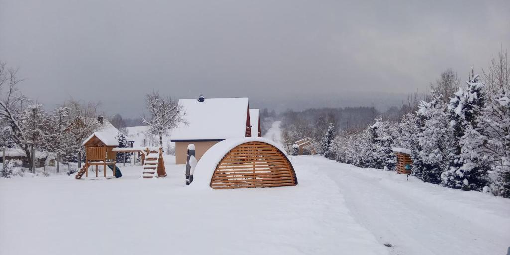 eine Person, die im Schnee neben einem Haus steht in der Unterkunft Domki Brzozówka w Bieszczadach in Ustrzyki Dolne
