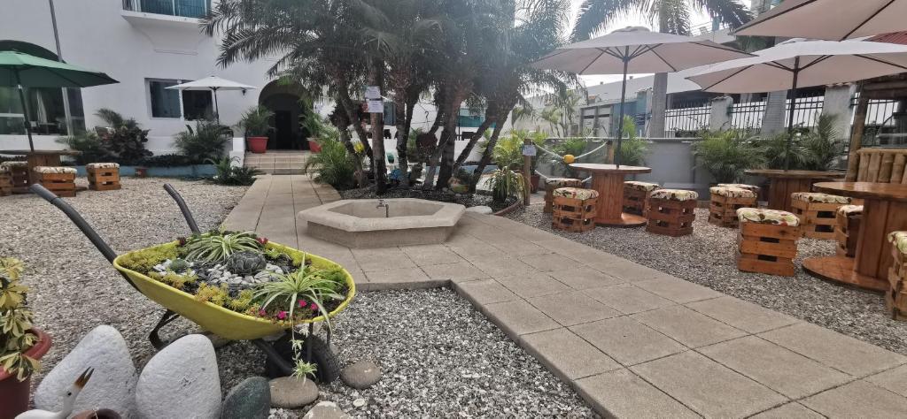 Zahrada ubytování Hotel Casablanca CHIPIPE