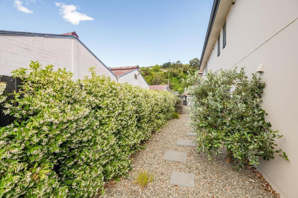 Bella Vista Nelson - Resim 27