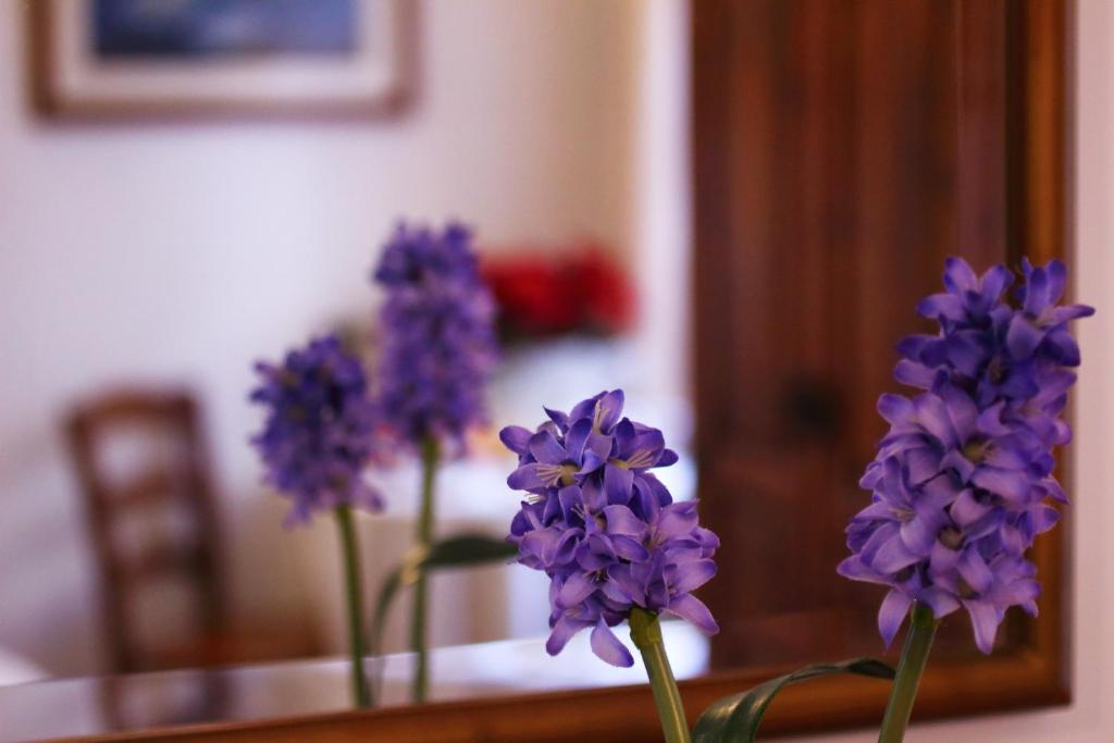 Fotografie z fotogalerie ubytování Locanda dell'Arcangelo v destinaci Rocca Massima