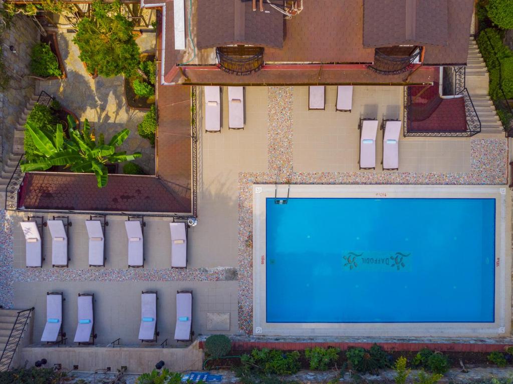 Bazén v ubytování Hotel Villa Daffodil nebo v jeho okolí