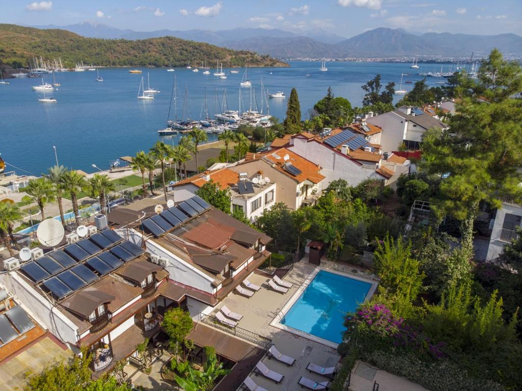 فندق فيلا دافوديل