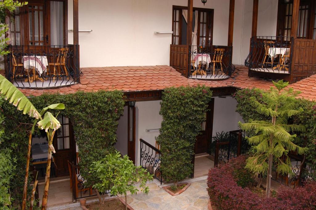 Zahrada ubytování Hotel Villa Daffodil