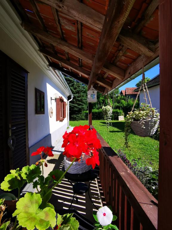 Zahrada ubytování Őrség Kincse Kis Apartman - 4 főre