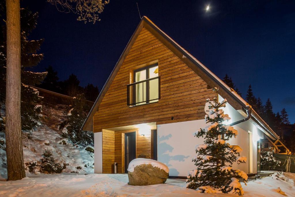 a house with a christmas tree in the snow at Chaty Demänovská dolina in Liptovský Mikuláš