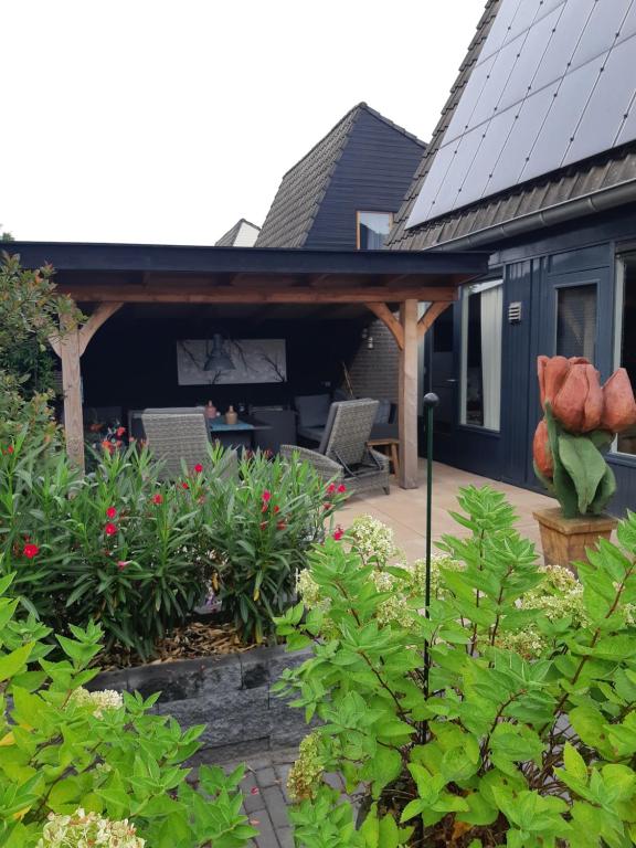 a house with a porch with chairs and plants at BenB Weerribben Wieden in Wanneperveen