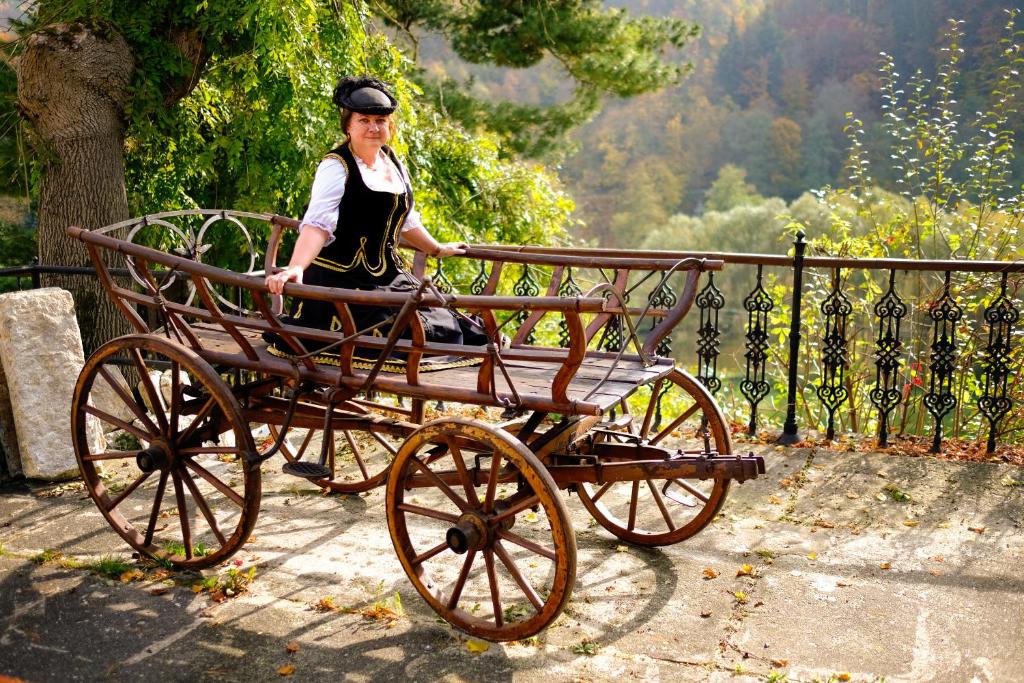 Hosté ubytování Hotel U Bílého koně