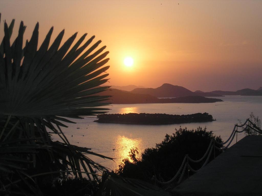 una puesta de sol sobre un cuerpo de agua con una palmera en Guesthouse Alliya, en Dubrovnik