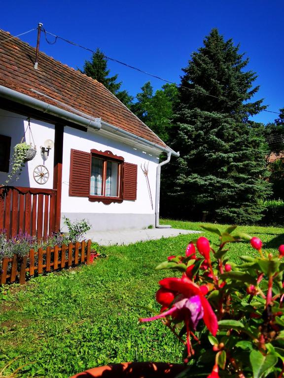 Zahrada ubytování Őrség Kincse Nagy Apartman - 6 főre