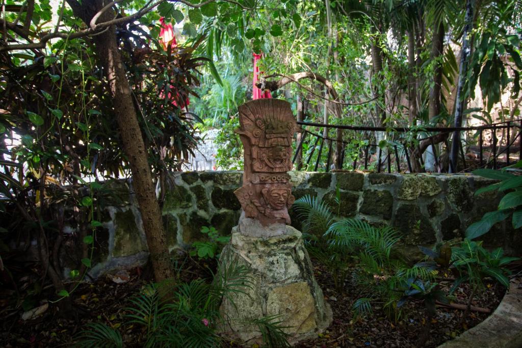 Zahrada ubytování Hotel Xbalamqué & Spa Cancún Centro