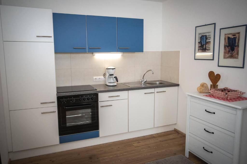 Kuchyňa alebo kuchynka v ubytovaní Apartment CANUS - Krumas Living - Kronplatz