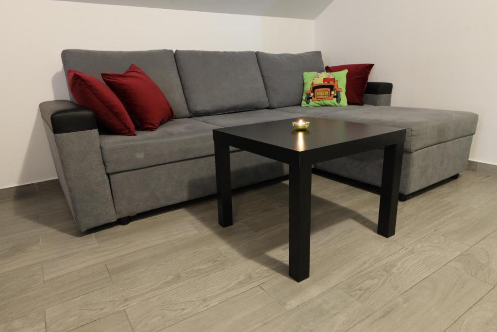 Apartment Cvjetna - 10