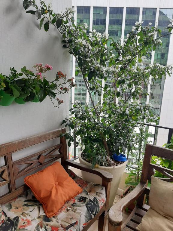  Quarto aconchegante no Humaitá - somente mulheres