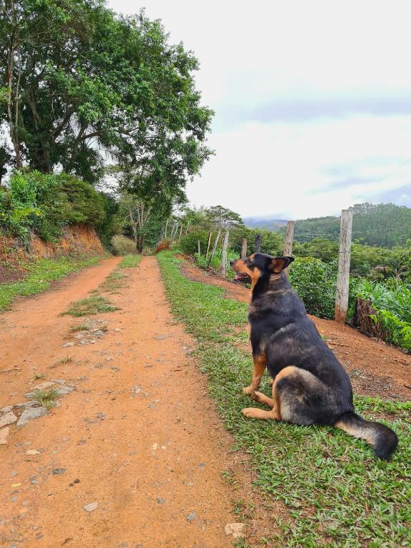  Sitio Canto Alegre