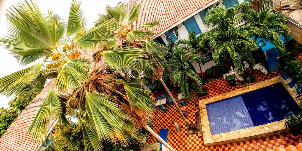 a group of palm trees in front of a building at Media Luna Hostel Cartagena in Cartagena de Indias
