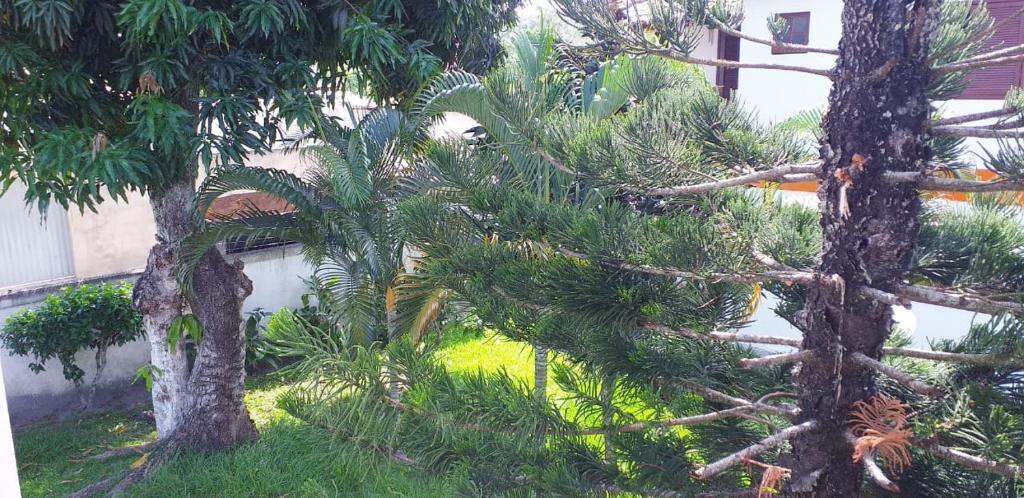  Condomínio Aldeia Da Praia Casa 102 B